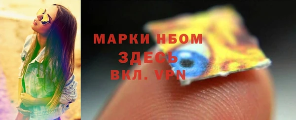 сатива Балахна