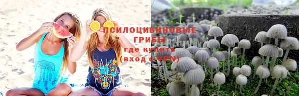 сатива Балахна