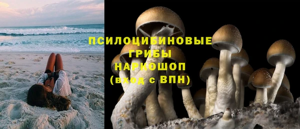 сатива Балахна