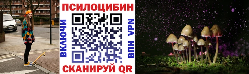 Псилоцибиновые грибы прущие грибы  Купить  Болгар 