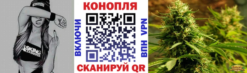 Купить  Болгар  Шишки марихуана LSD WEED 